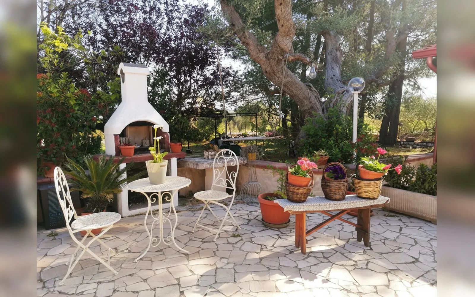 B&B L'Isola Felice,  — galleria foto 117